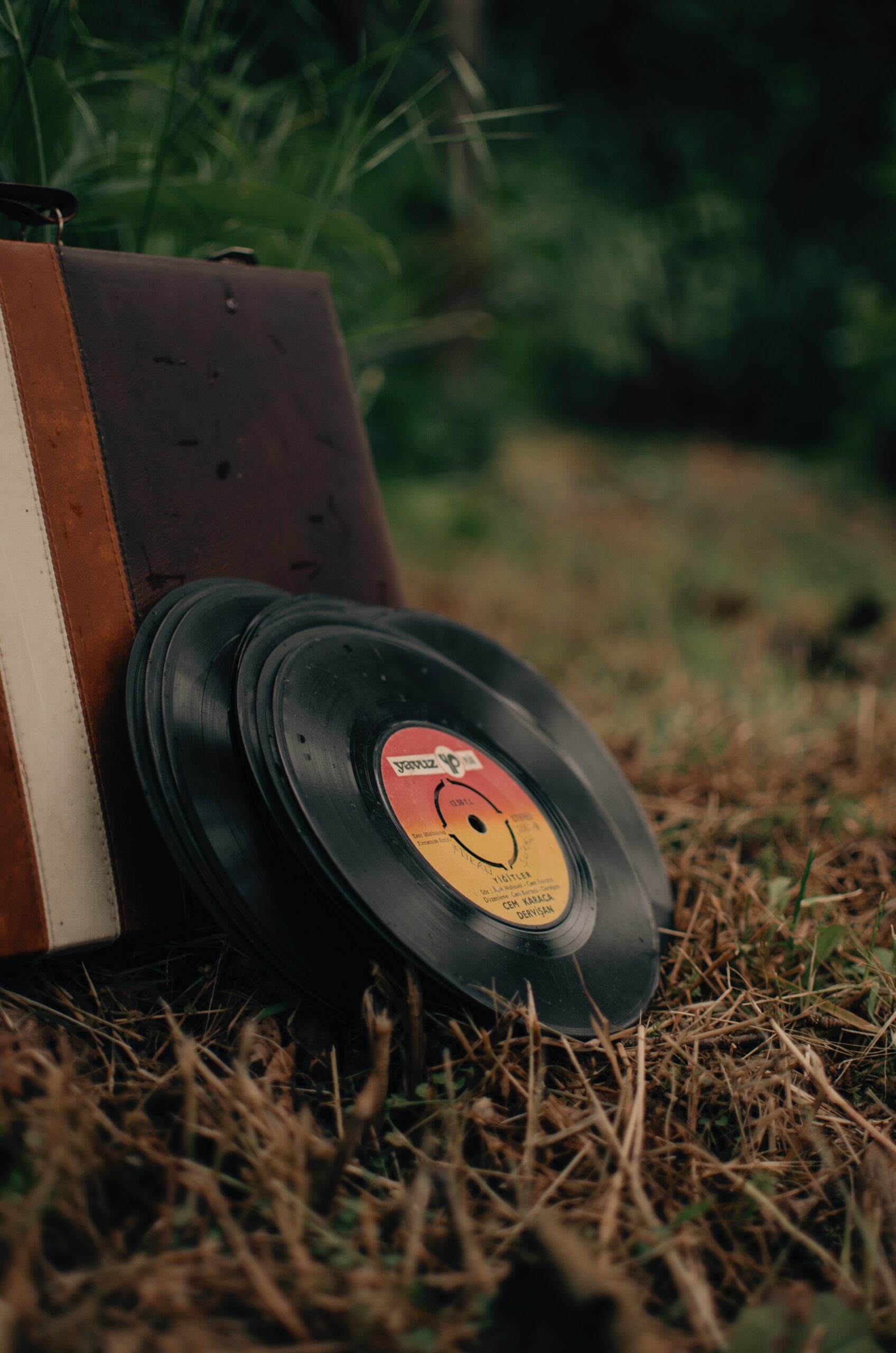 A pile of vinyls on grass image