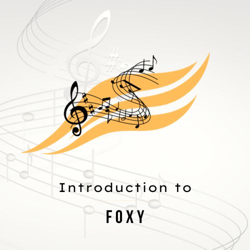 Introduction to Foxy