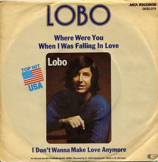 Where_Were_You_When_I_Was_Falling_In_Love_-_Lobo image