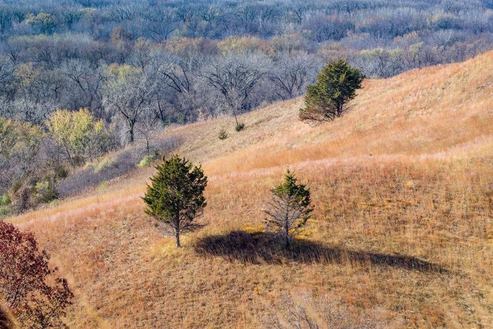 Prairie scenery in Minnesota