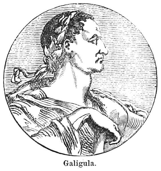 A portrait of Caligula