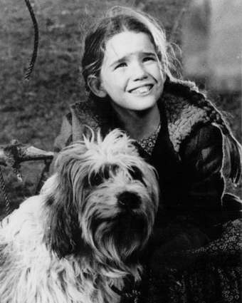 Laura Ingalls (played by Melissa Gilbert) with her dog Jack (played by Barney) in the TV show Little House on the Prairie, 1975