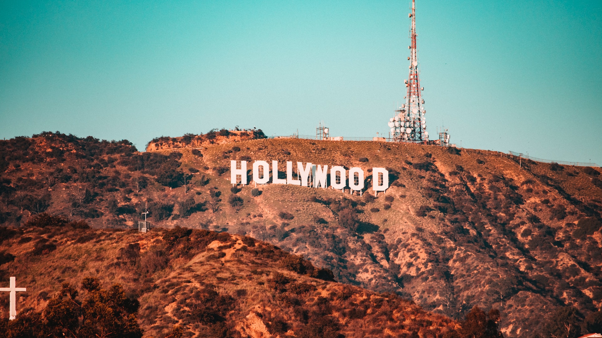 Interesting Facts About Hollywood