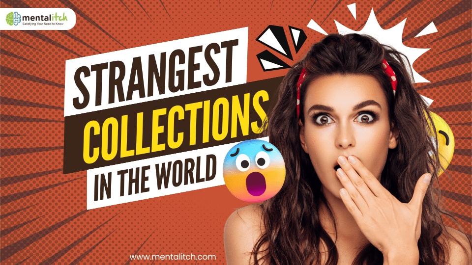Strangest Collections in the World