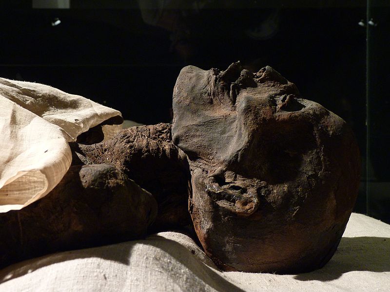 A closeup image of a mummy 