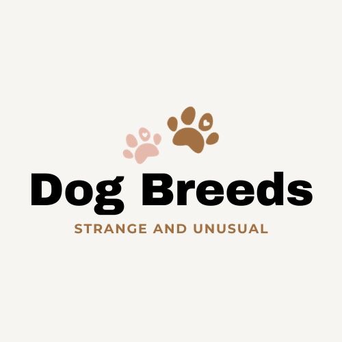 Strange and Unusual Dog Breeds
