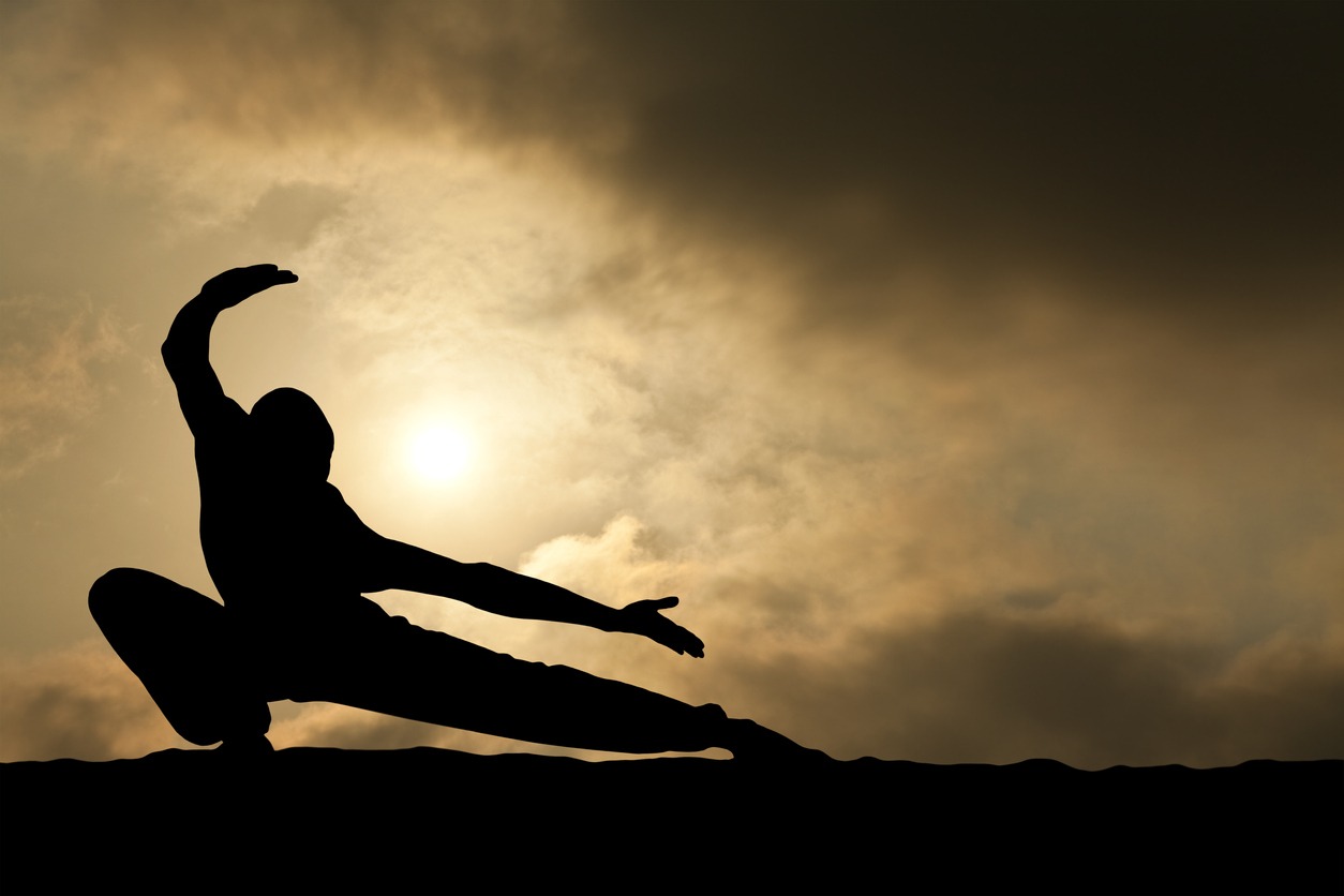 silhouette of a figure performing martial arts