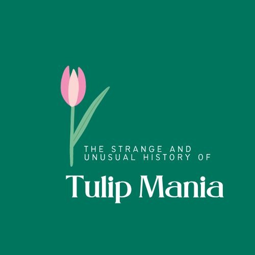 The Strange and Unusual History of Tulip Mania