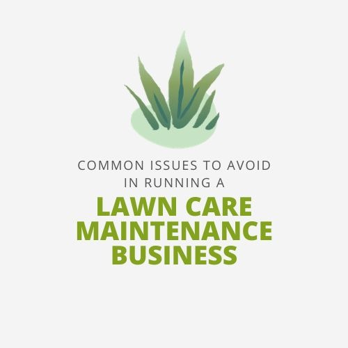 Common Issues to Avoid in Running a Lawn Care Maintenance Business