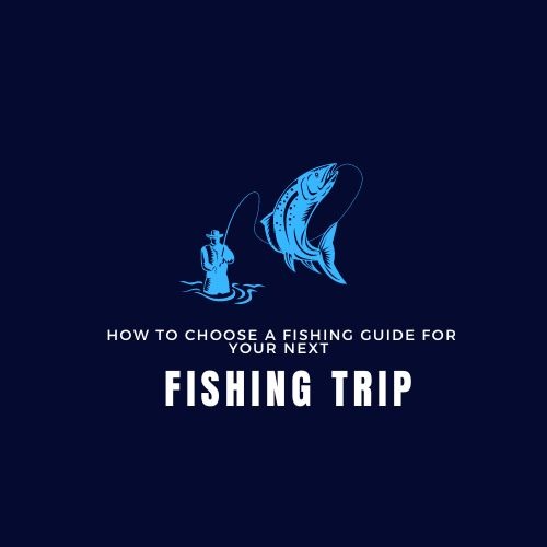 How to Choose a Fishing Guide for Your Next Fishing Trip