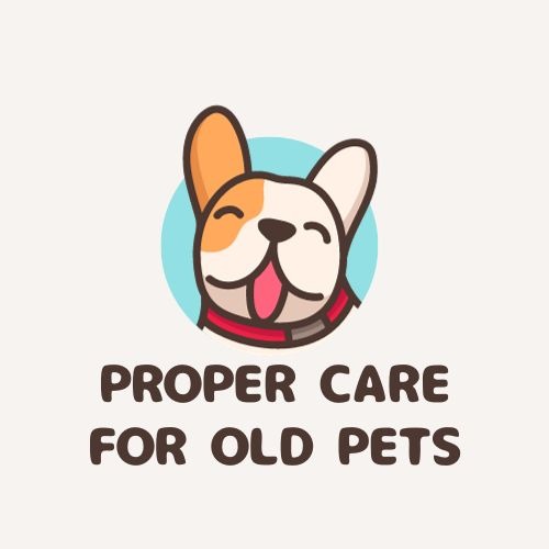 Proper Care For Old Pets