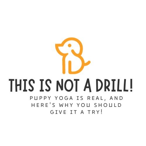 This is Not a Drill! Puppy Yoga is Real, and Here's Why You Should Give it a Try!