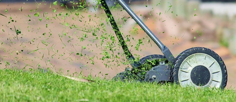 Common Issues to Avoid in Running a Lawn Care Maintenance Business