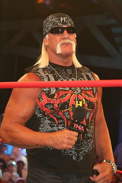 An image of Hulk Hogan in 2010