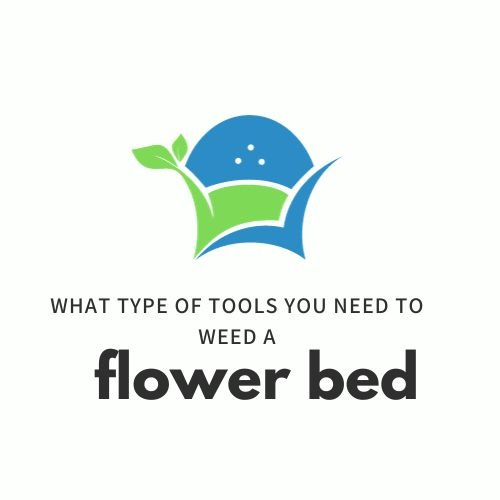 What type of tools you need to weed a flower bed