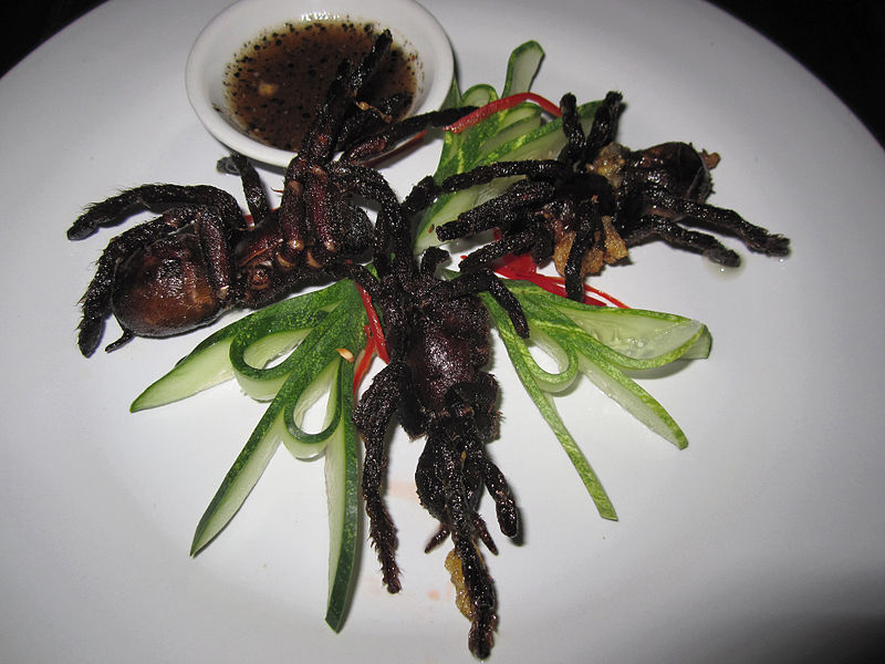 Fried tarantulas served on a plate as appetizer