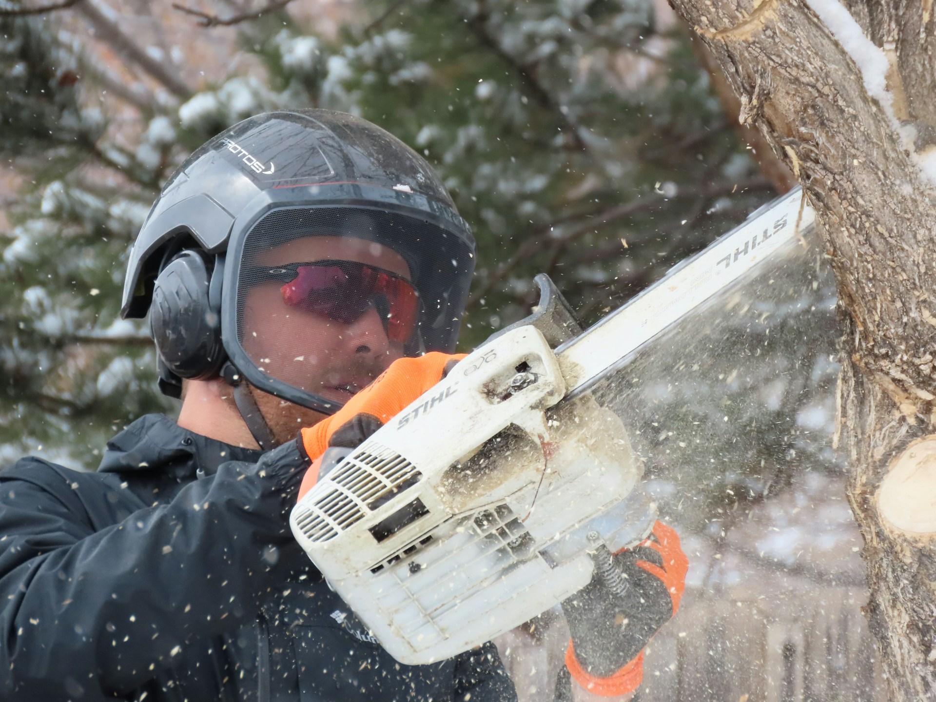 How to care for and Maintain the Chainsaw?