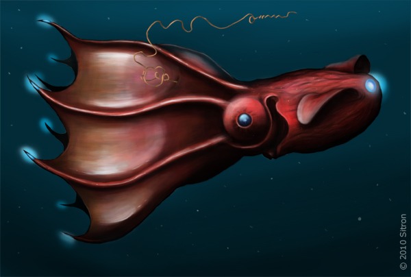 A creative illustration of a vampire squid
