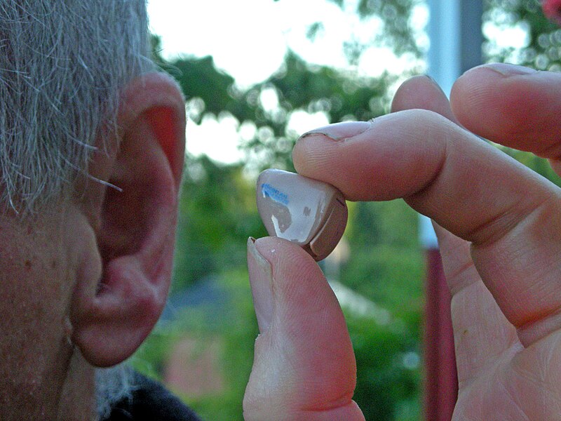 canal hearing aid image