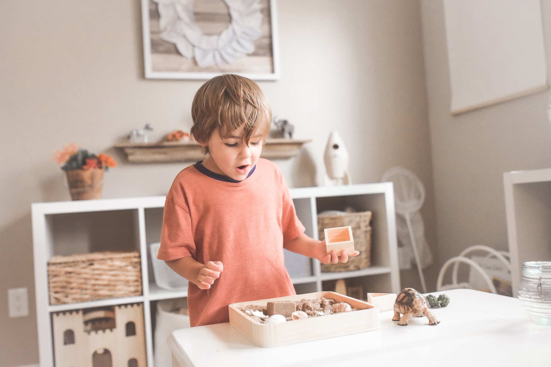 4 Amazing Benefits Associated With Children Building Their Own Collections