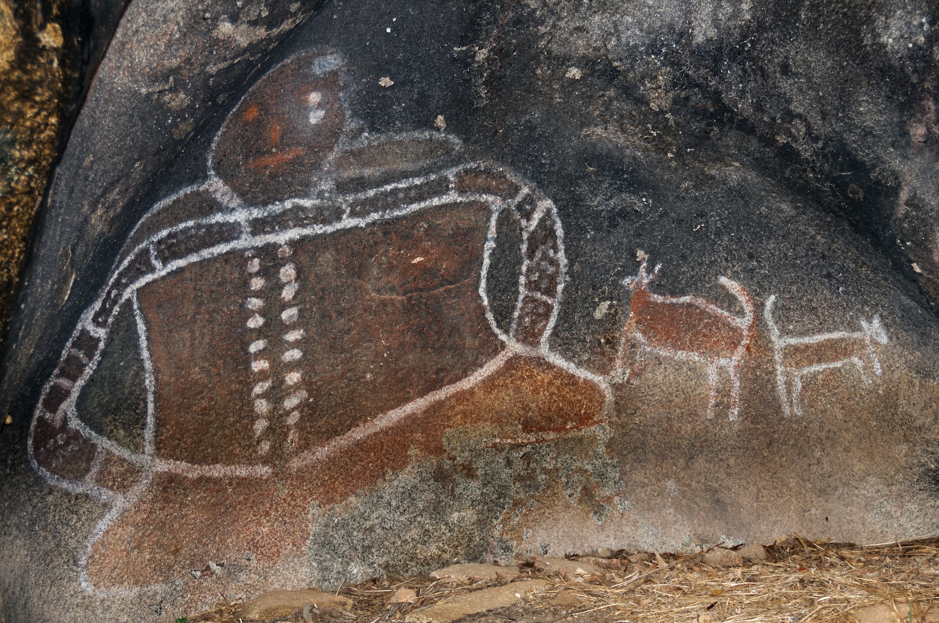 Australian Aboriginal Art: Understanding The History and Styles