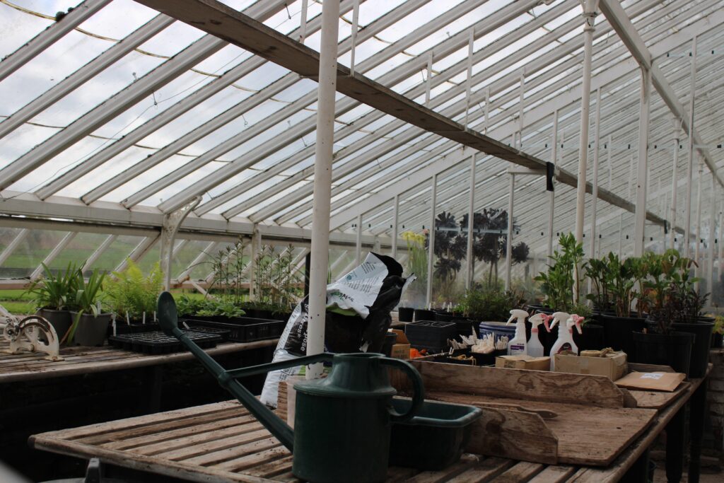 Building Greenhouse image