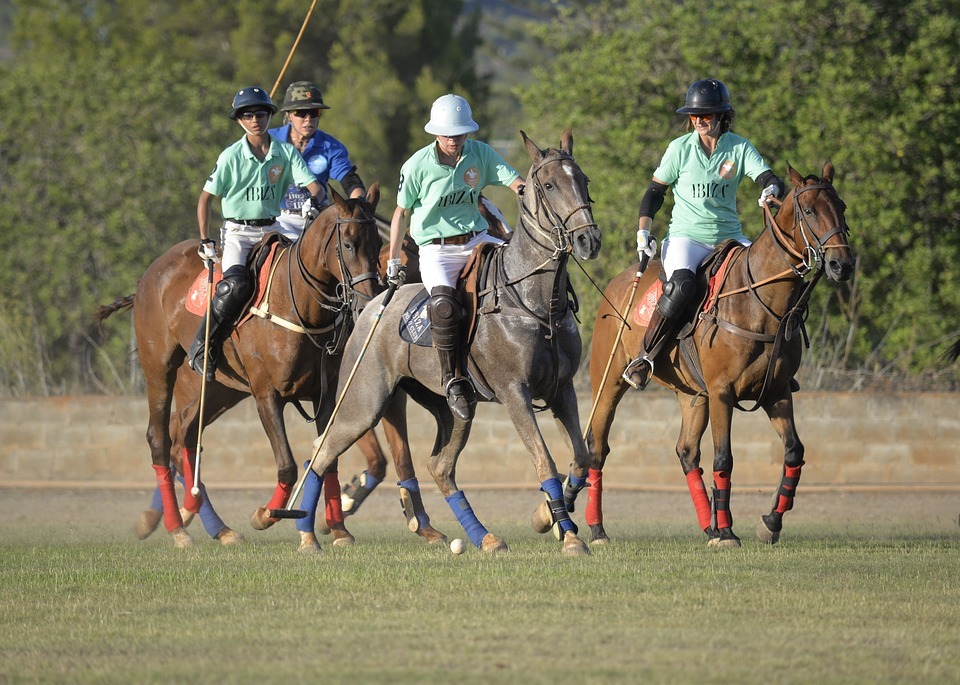 players on horses holding polo sticks during a game