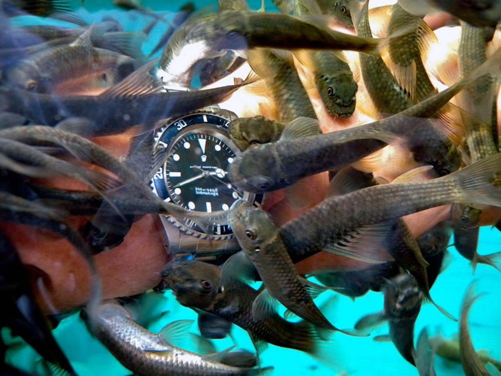 Rolex watch underwater