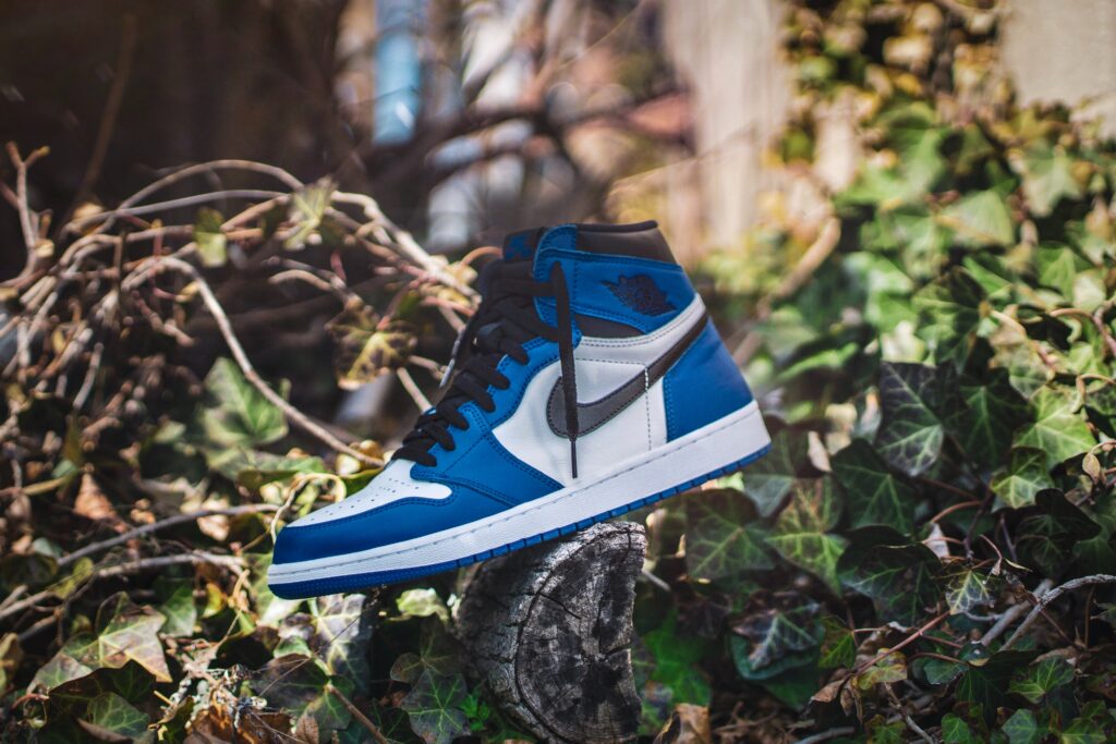 Blue and White air Jordans on a log image