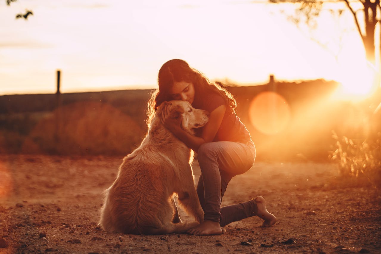 What Are the Best Qualities in Dogs For Emotional Support?