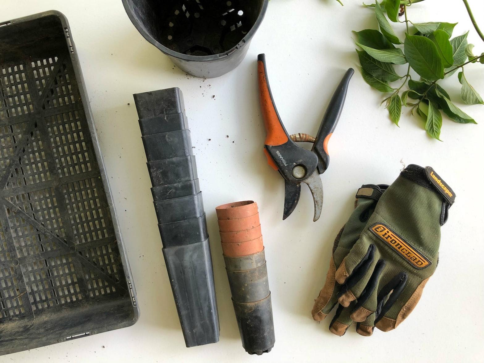 How to Care for Your Gardening Tools
