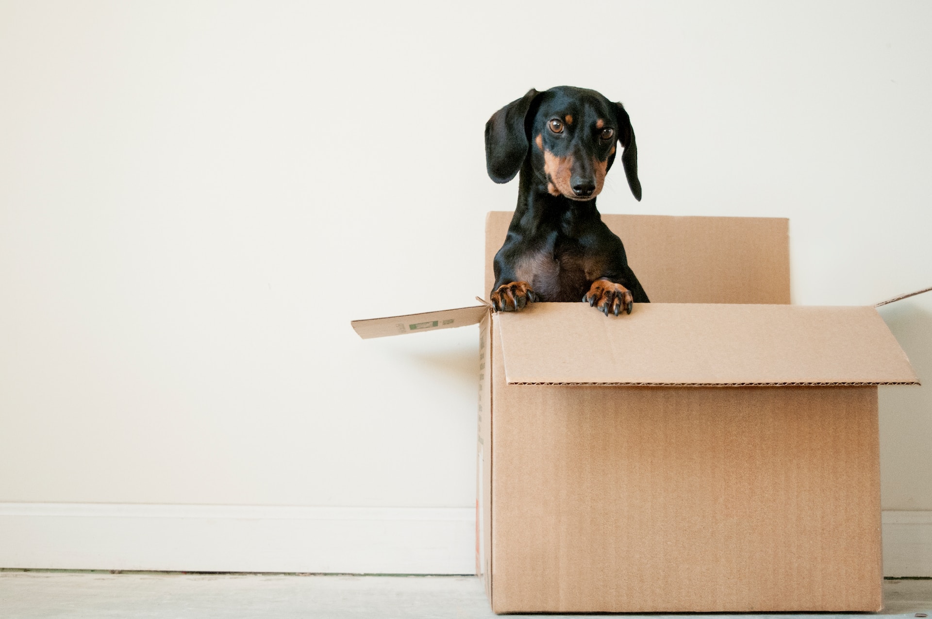 When the Moving Gets Tough: How to Cope When Moving in a Week or Less