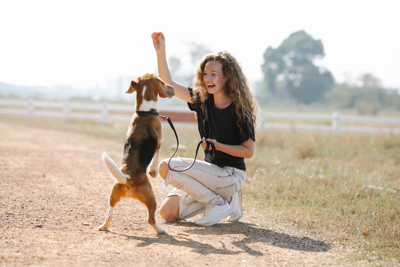 Your Healthy Pet: 7 Key Ways to Keep Your Pet Happy and Healthy