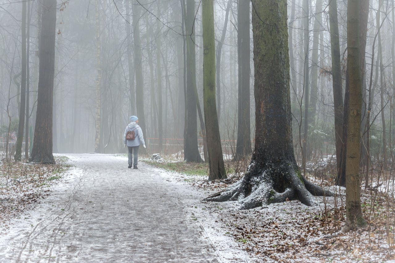 Winter Survival Guide: How to Keep Yourself Healthy and Safe at All Times