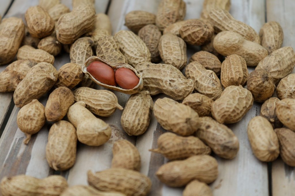 Peanuts with shells on