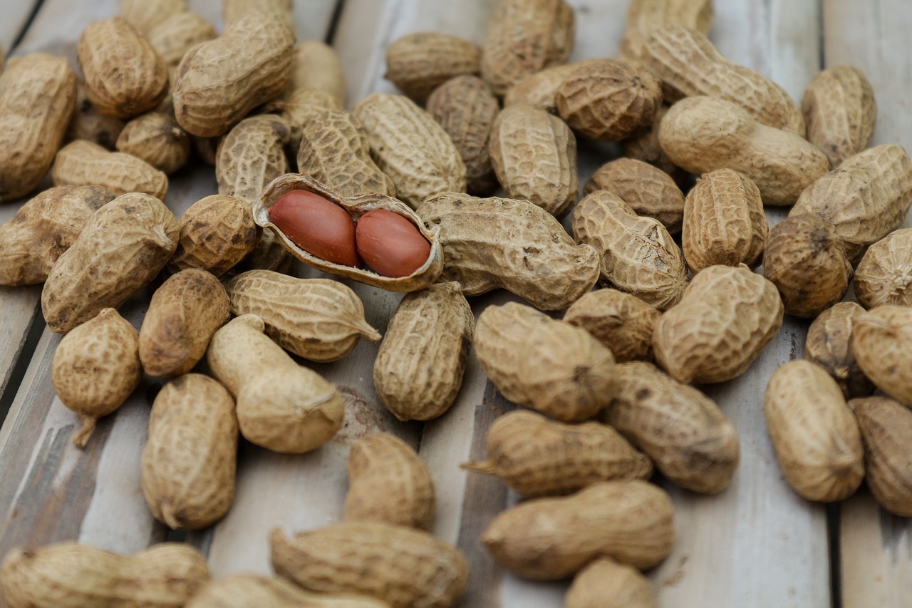 Peanuts with shells on