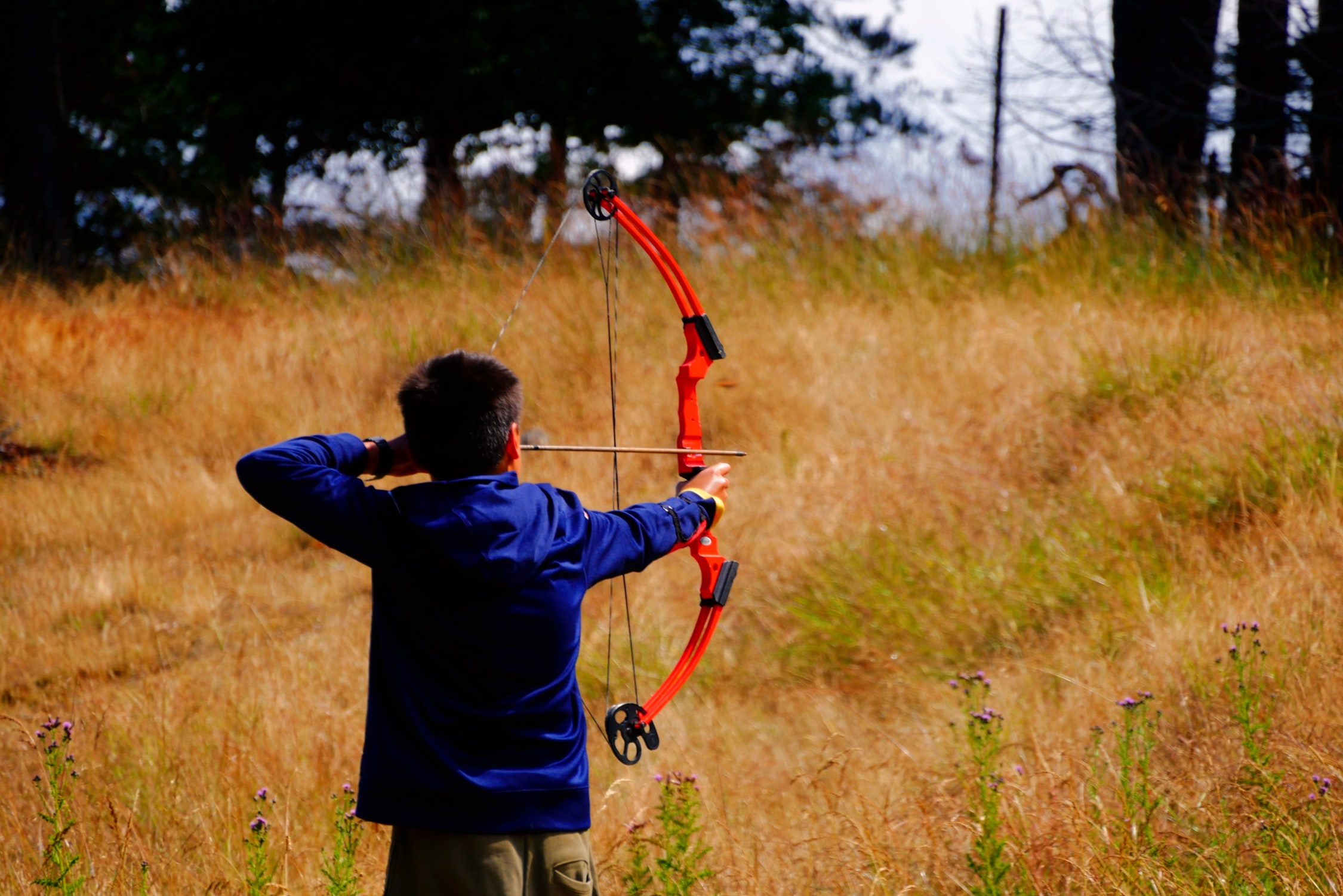hunting bow arrow