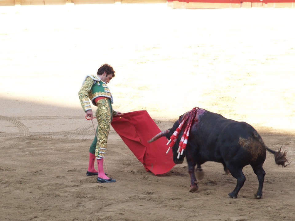 bullfigthing in Spain