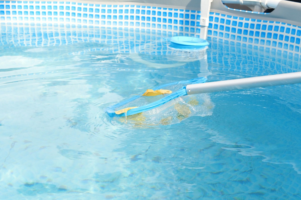 Cleaning a swimming pool with a mesh skimmer. The long net cleans colored leaves off the surface of the water