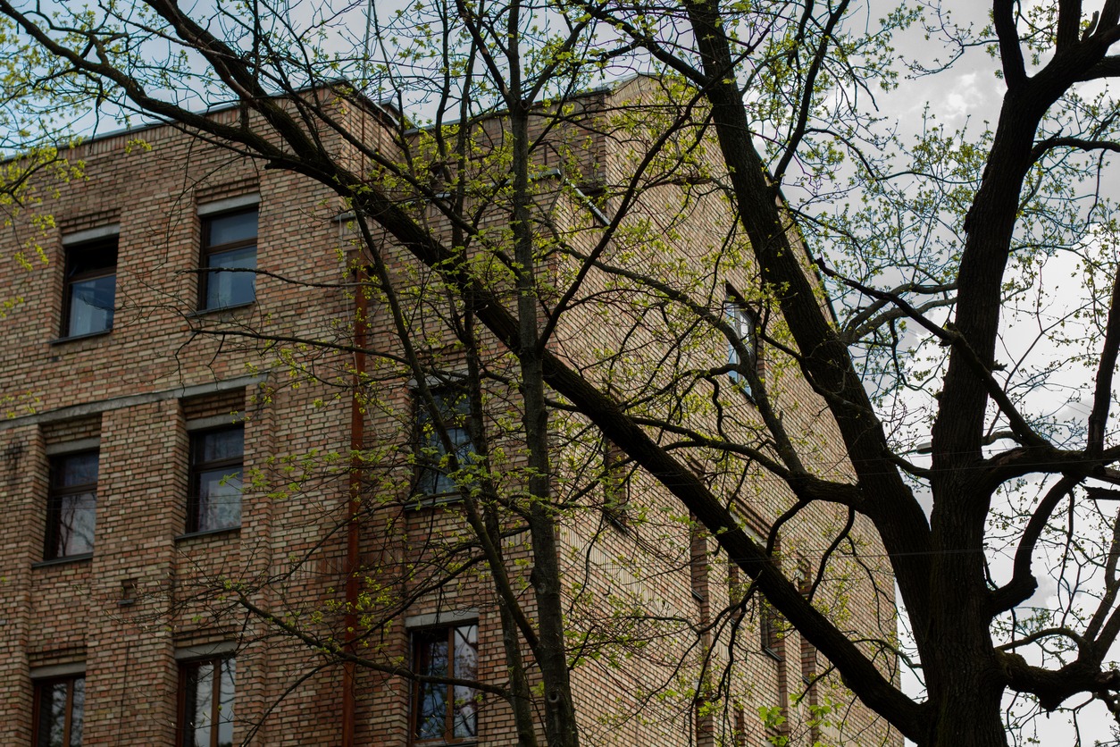 brick apartment building among trees and leaves