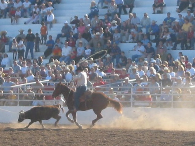 Rode Event-Roping