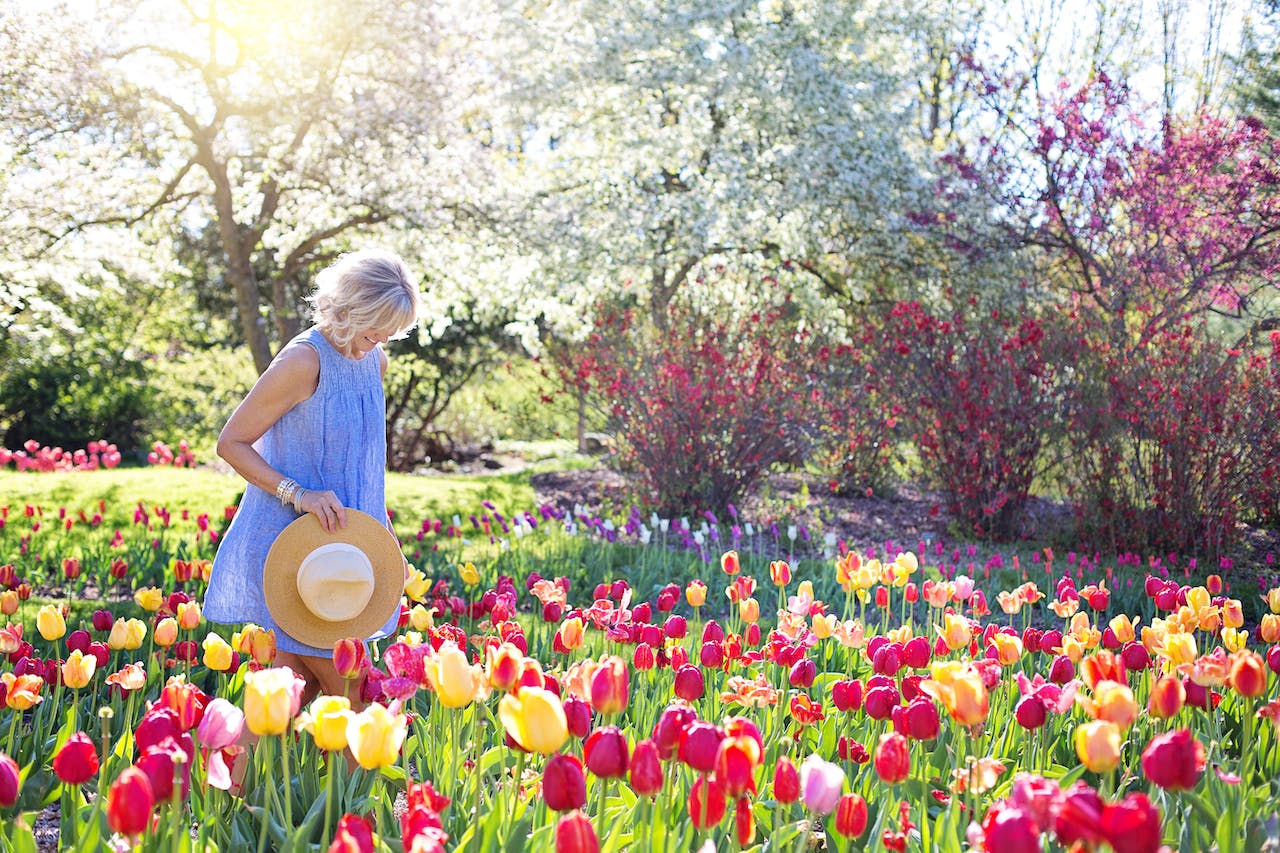 a woman walking on a bed of tulip flowers