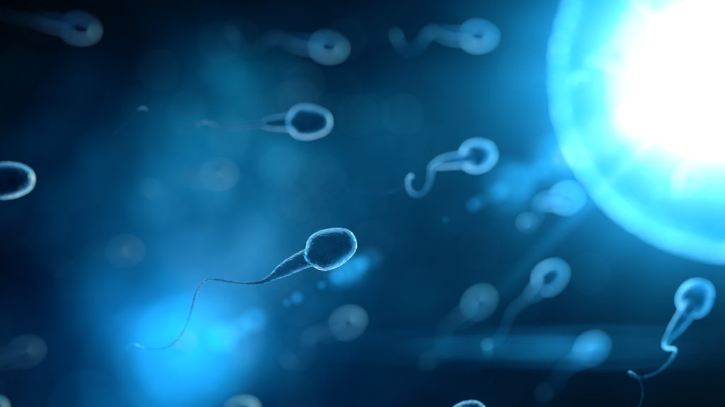 Sperm swim to ovum cell with 3d rendering in laboratory science concept