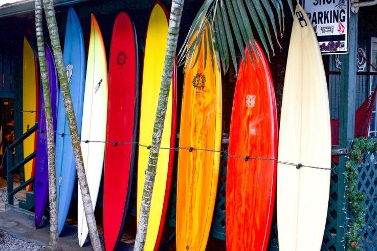 3 Features You Need To Have On A Longboard Surfboard