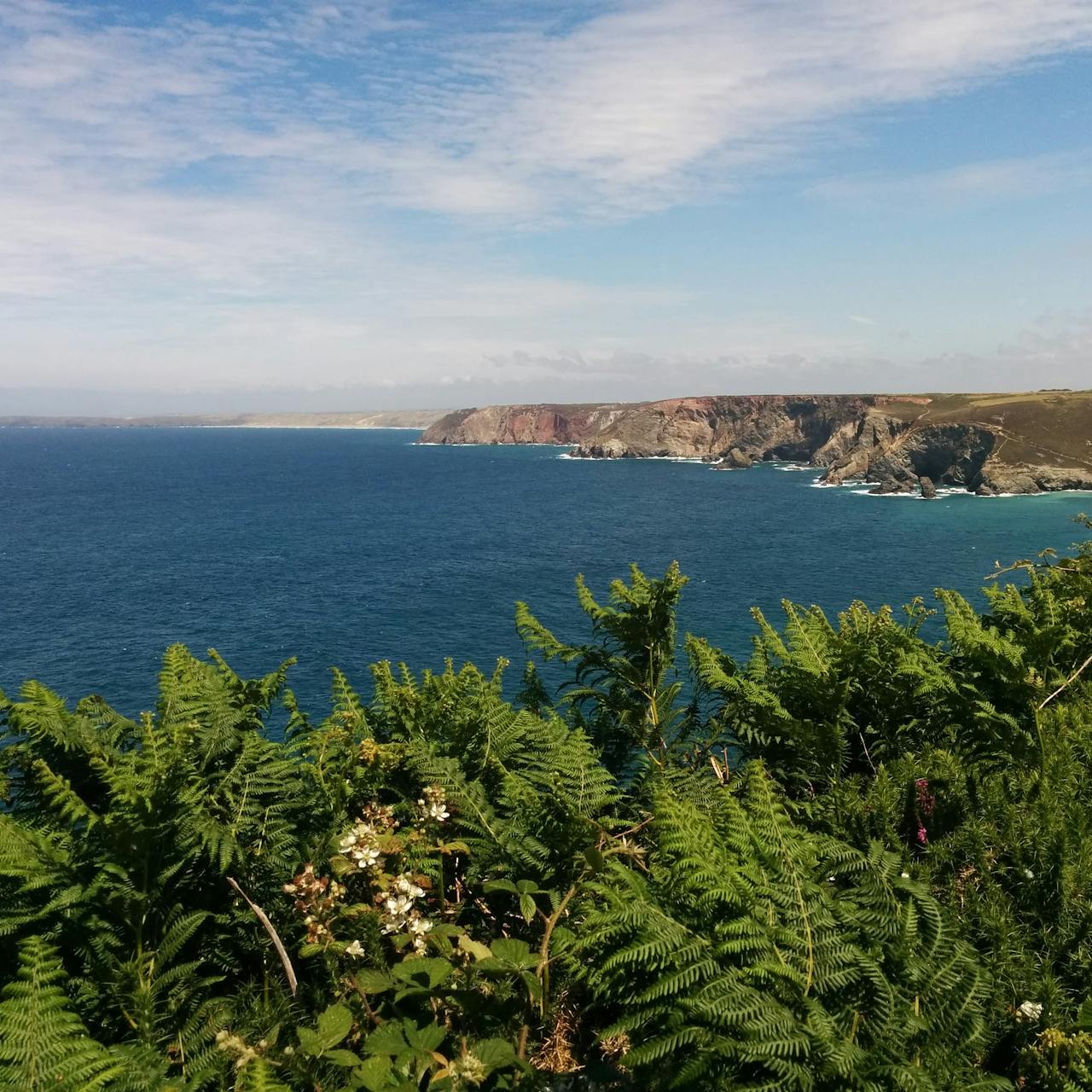 Beauty of Cornwall's Landscape