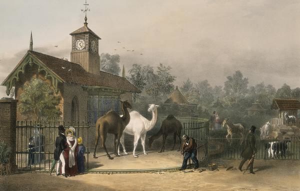 1835 –Zoo in London