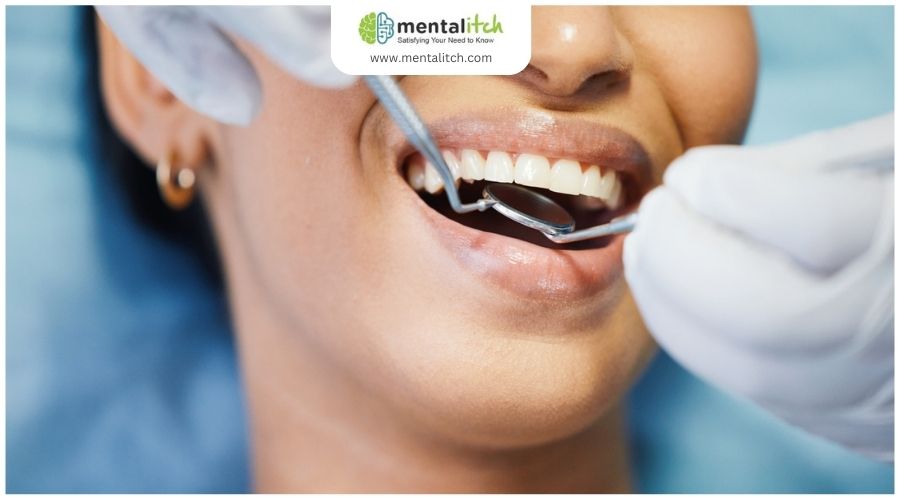 Everything You Need to Know About Oral Health