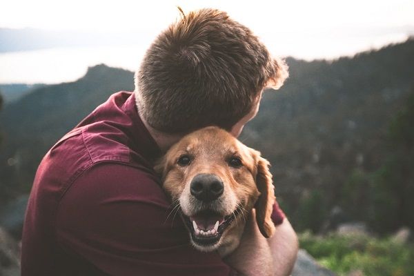 How Your Pet Can Help Elevate Your Spirit