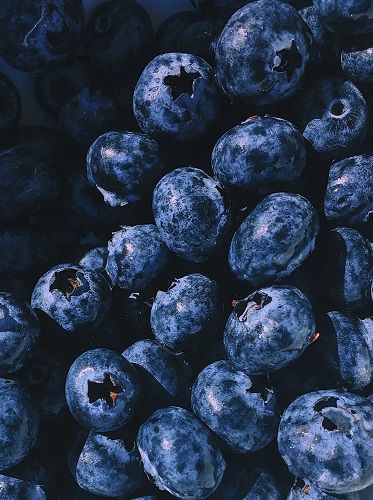 Learn About the Amazing Benefits of Antioxidants
