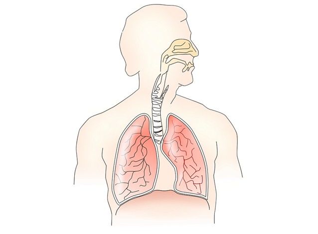 Tips on How to Deal With Breathing Problems
